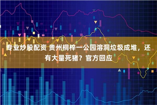 专业炒股配资 贵州桐梓一公园溶洞垃圾成堆，还有大量死猪？官方回应