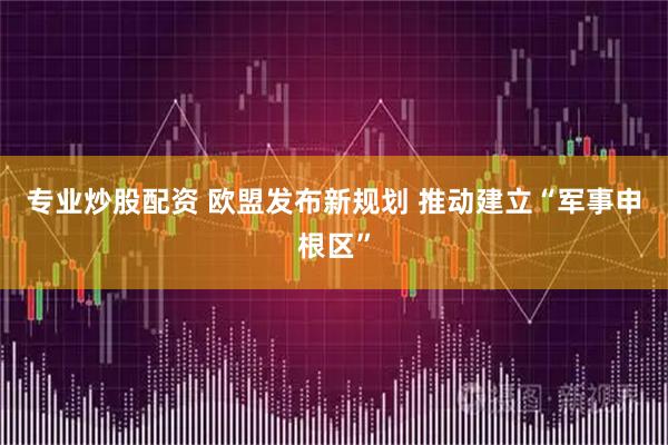 专业炒股配资 欧盟发布新规划 推动建立“军事申根区”