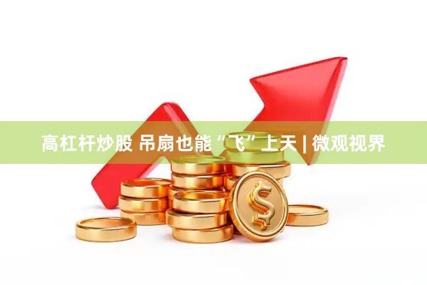 高杠杆炒股 吊扇也能“飞”上天 | 微观视界