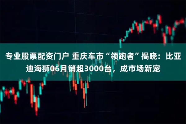 专业股票配资门户 重庆车市“领跑者”揭晓：比亚迪海狮06月销超3000台，成市场新宠