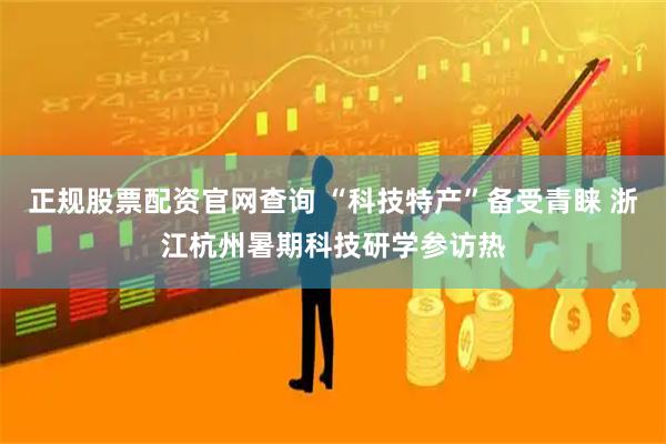 正规股票配资官网查询 “科技特产”备受青睐 浙江杭州暑期科技研学参访热